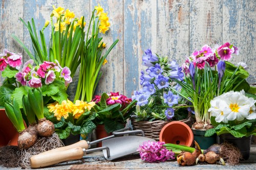 A collection of gardening tools and vibrant flowering plants arranged on a weathered wooden surface. The plants include yellow daffodils, pink primroses, purple hyacinths, and white primroses, all in pots or baskets. In the foreground, a hand trowel and a small hand rake rest among soil and flower bulbs, indicating recent planting activity. The background features a rustic, light blue wooden wall that enhances the natural, outdoor gardening atmosphere. This scene captures the diversity of garden elements typical in outdoor spaces within Leyton, Essex, showcasing the colorful variety and lush textures that professional gardening and landscaping services, such as hedge trimming and lawn care from Hedge Trimming Leyton, can help maintain, emphasizing a well-tended, vibrant garden environment.